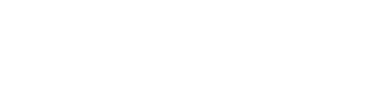 Digizuite