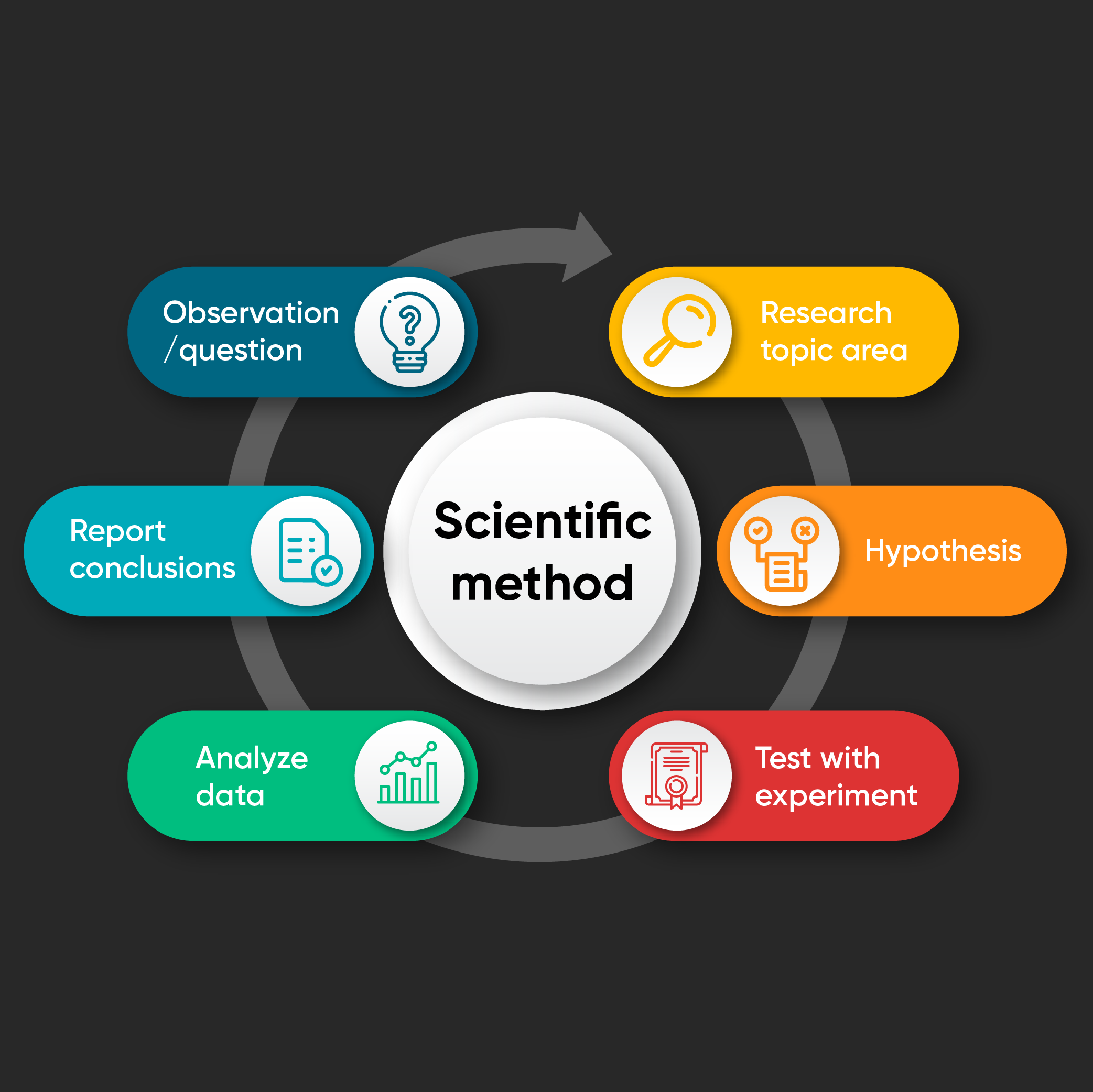 Scientific method stages including observation, research, hypothesis, experiment, data analysis, and conclusion