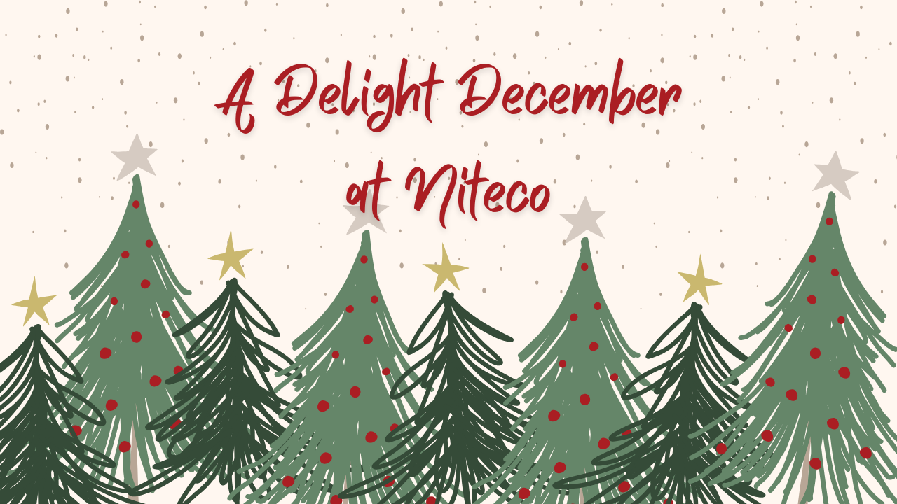 Festive Christmas trees with stars and red ornaments celebrate A Delight December at Niteco