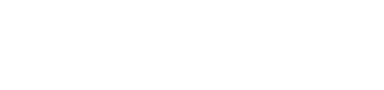 Digizuite
