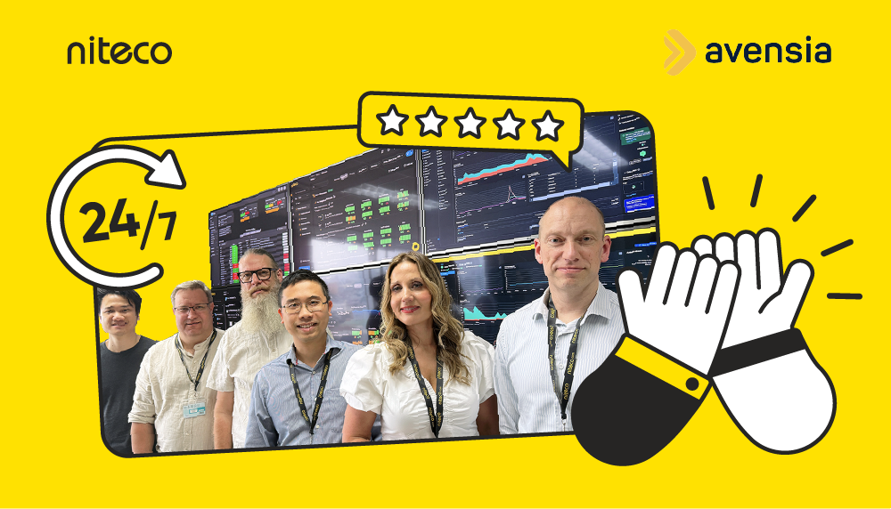Niteco Avensia team delivering 24/7 support with top customer service ratings
