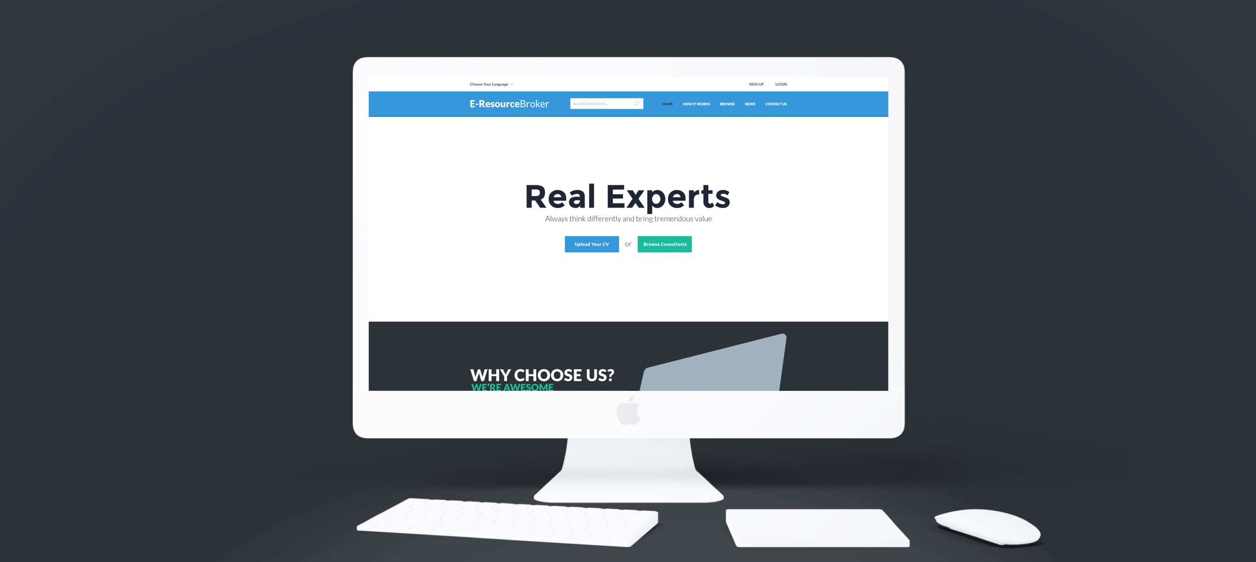 E-ResourceBroker homepage on desktop showing Real Experts and consultant options